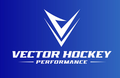 Vector hockey Performance